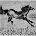 06 - Pferd Tusche auf Reispapier, 33 x 33 cm